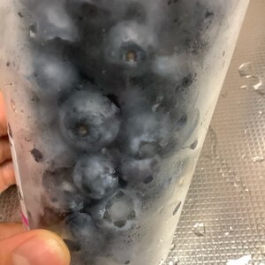 ブルーベリーの冷凍方法